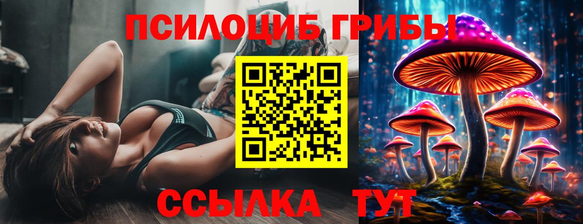 Галлюциногенные грибы прущие грибы Азов